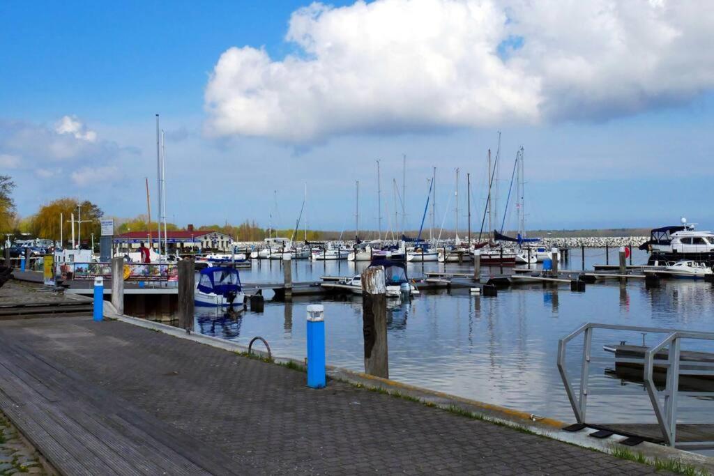 Wohnen Im Hafen Von Barth Mit Gemuetlicher Terrasse バース エクステリア 写真